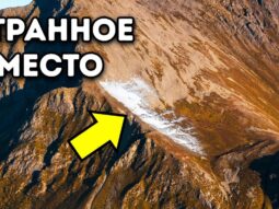 {{brizy_dc_image_alt entityId=