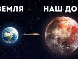 Главная страница, интернет-копилка, продукты Здоровья и Красоты, Livegood