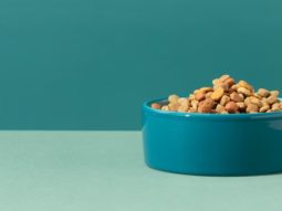 76e4c265427115e31e4ab52fa5c4a6fa Главная страница, интернет-копилка, продукты Здоровья и Красоты, Livegood