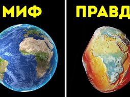 Главная страница, интернет-копилка, продукты Здоровья и Красоты, Livegood