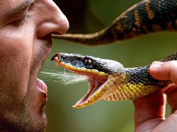 {{brizy_dc_image_alt entityId=