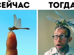 Захватывающие факты о животных, которые вы не найдете в учебнике Главная страница, интернет-копилка, продукты Здоровья и Красоты, Jeunesse