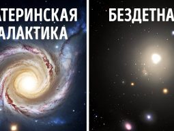 {{brizy_dc_image_alt entityId=