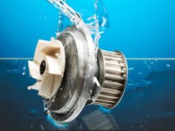 9b60217bb8a9bd2402b811c636c34ee6 {{brizy_dc_image_alt entityId=