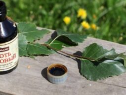 a769ed337af9156e2b1234d32fb9c0c7 {{brizy_dc_image_alt entityId=