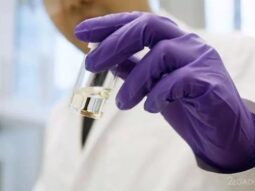 afcadf983d9c4d2007034df6d1572743 {{brizy_dc_image_alt entityId=