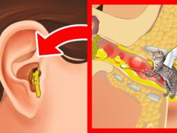 asmr strannoe no priyatnoe udale