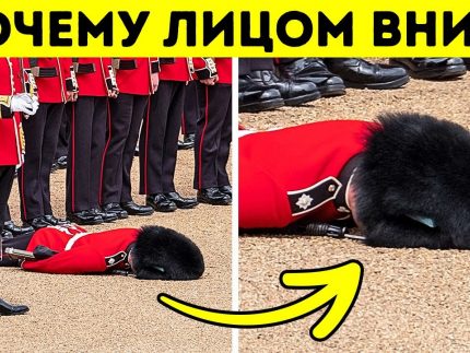 bolee 100 faktov kotorye dokazyv bolee 100 faktov kotorye dokazyv