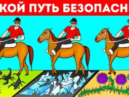 bolee 30 zagadok kotorye zagonya bolee 30 zagadok kotorye zagonya