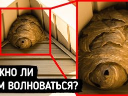 Более 50 советов по безопасности, чтобы справиться с любой угрозой О сайте, как пользоваться