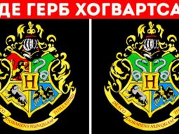 bolshaya viktorina s logotipami bolshaya viktorina s logotipami