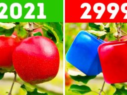 Главная страница,продукты для здоровья,продукты для красоты,средства для здоровья,средства для красоты,заработок в интернете,видео о Jeunesse,jeunesse,рейтинг товаров и услуг,отзывы о jeunesse, Главная страница, интернет-копилка, продукты Здоровья и Красоты, Jeunesse buduschee cherez 1 000 let terra