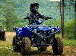 {{brizy_dc_image_alt entityId=