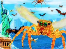 chto esli by u paukov vyrosli kr