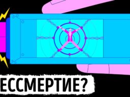 Что если бы вы могли?… Загрузка сознания в Интернет Что если бы вы могли?… Загрузка сознания в Интернет