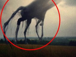 Что если уровень кислорода на Земле поднимется до 50% {{brizy_dc_image_alt entityId=