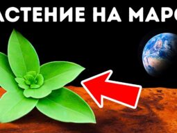 Что нужно, чтобы сделать Марс похожим на Землю
