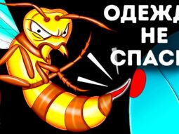 chto sluchitsya esli vas uzhalit