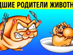 Чудеса природы: Удивительные факты о животных