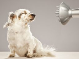 О сайте, как пользоваться