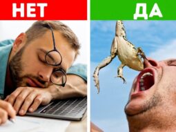 Достигайте больше, напрягайтесь меньше: советы по продуктивности