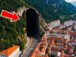 {{brizy_dc_image_alt entityId=