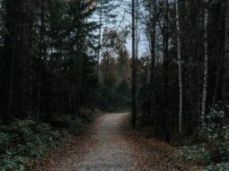 e16cb2494a274047052c1a6225d96bd1 e16cb2494a274047052c1a6225d96bd1