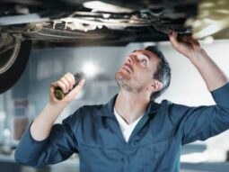 e387c0783e5f99b436b7cacd532029de e387c0783e5f99b436b7cacd532029de