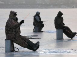 e3bc9e2c688f6c96ea2148609c6b5f66 e3bc9e2c688f6c96ea2148609c6b5f66