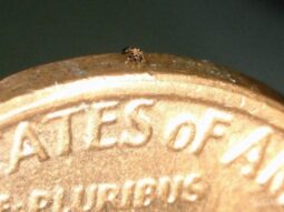 eb065a73dde8e2fe6ccb47968bbf969e {{brizy_dc_image_alt entityId=