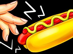 esli by vy prevratilis v hot dog