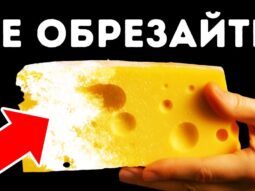 Если вы видите белую пыль на сыре, вот что это значит