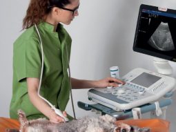 f20765300e5fa81bf6244b9dcee0108d {{brizy_dc_image_alt entityId=