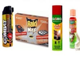 Главная страница,продукты для здоровья,продукты для красоты,средства для здоровья,средства для красоты,заработок в интернете,видео о Jeunesse,jeunesse,рейтинг товаров и услуг,отзывы о jeunesse, Главная страница, интернет-копилка, продукты Здоровья и Красоты, Jeunesse f5d3c78c647d1f6c5d33322a3d07aa69