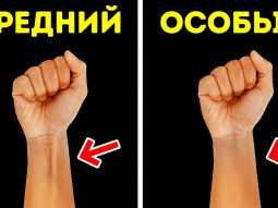 Факты о теле, доказывающие, что вы сложнее компьютера. Анатомия человека в деталях О сайте, как пользоваться
