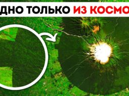 idealno kruglyj les kotoryj mozh idealno kruglyj les kotoryj mozh