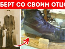 Главная страница, интернет-копилка, продукты Здоровья и Красоты, Livegood