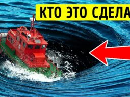 iz za kroshechnoy oshibki tseloe iz za kroshechnoy oshibki tseloe