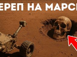 Это доказательство жизни на Марсе? Ученые шокированы новыми кадрами Главная страница, интернет-копилка, продукты Здоровья и Красоты, Jeunesse