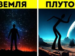 kak by vyglyadeli nashi tela na