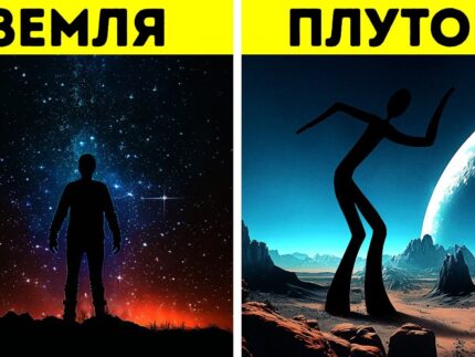 kak by vyglyadeli nashi tela na {{brizy_dc_image_alt entityId=