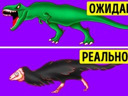 Как на самом деле выглядели динозавры и другие интересные факты для самых умных