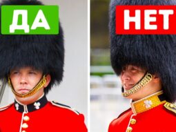 kakim pravilam dolzhny sledovat