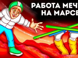 kakoy byla by vasha rabota na ra