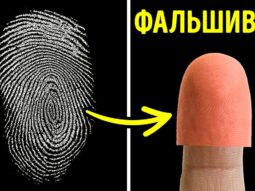 Можно получить доступ к вашей личности, и вот как это сделать