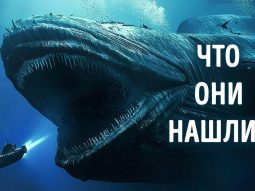 Мы, наконец, разгадали тайну сигнала Wow? Главная страница, интернет-копилка, продукты Здоровья и Красоты, Jeunesse