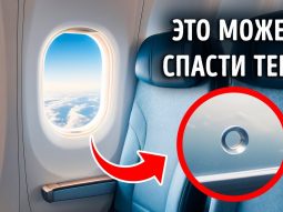 Невероятные факты о самолетах, которые поднимут ваши знания о полетах Главная страница, интернет-копилка, продукты Здоровья и Красоты, Livegood