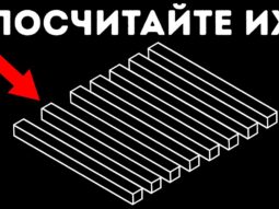 Обман зрения: 10+ оптических иллюзий, которые взорвут вам мозг Обман зрения: 10+ оптических иллюзий, которые взорвут вам мозг