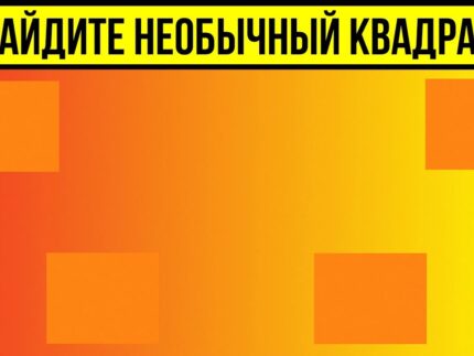 obmanut li vas eti opticheskie i {{brizy_dc_image_alt entityId=