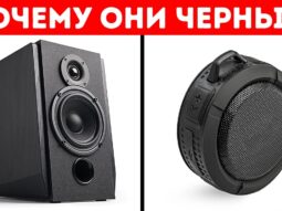 pochemu bolshinstvo kolonok cher